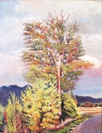 large yellow brush and tree